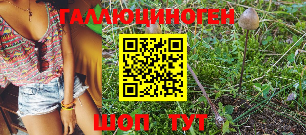 Псилоцибиновые грибы GOLDEN TEACHER  купить   Белгород  Вход с VPN  Псилоцибиновые грибы Magic Shrooms 